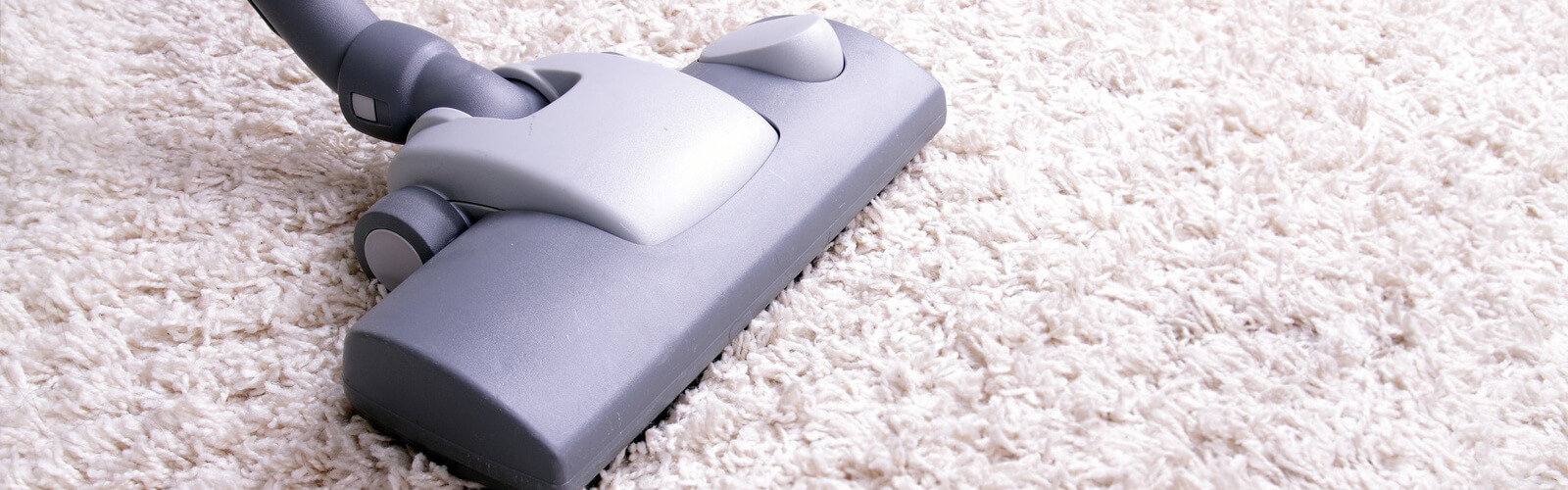 Carpet Cleaning Kansas City MO Friendly Cleaning Services Carpet